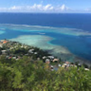 Meet your Posher, Trisha